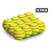 PowerNet 12-Pack Regulation Size Practice Softballs