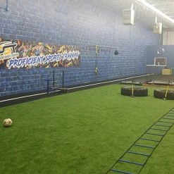 ProMounds Arena Padded Artificial Turf