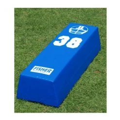 Fisher Dual Step Agility Dummies