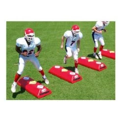 Fisher Direst Step Agility Dummies