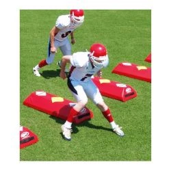 Fisher Direst Step Agility Dummies