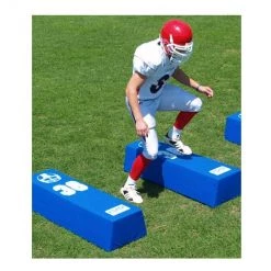 Fisher Dual Step Agility Dummies