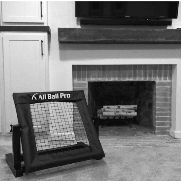 All Ball Pro The Mini Pro Rebounders & Pitchbacks 15 All Ball Pro The Mini Pro Rebounders & Pitchbacks