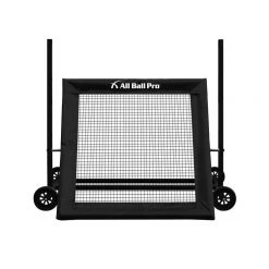 All Ball Pro The Varsity