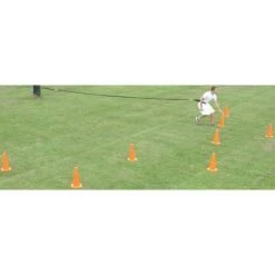 Oates Specialties TAP™ Bungee Cord